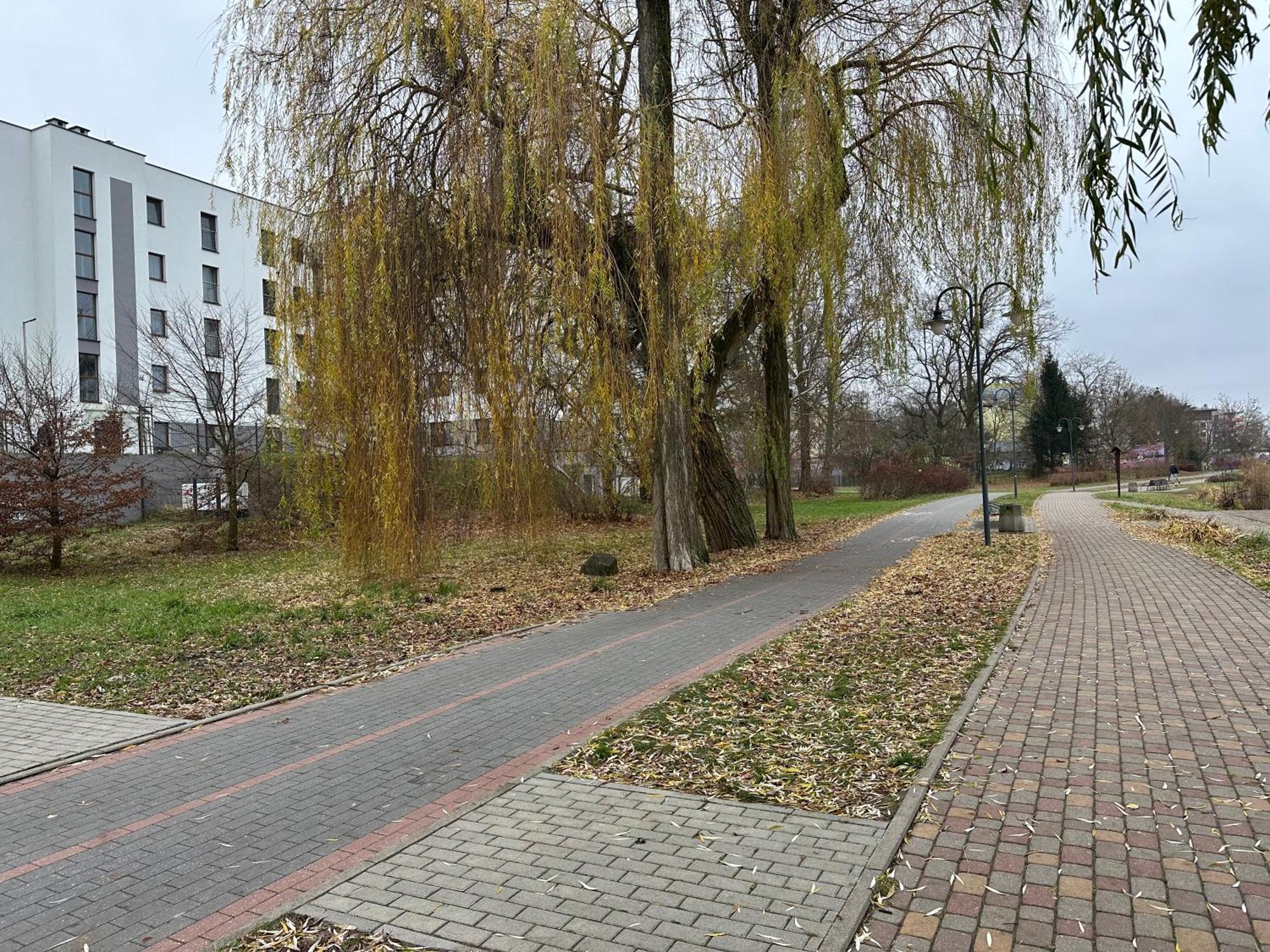 Apartament Kosciuszki 33F Iława Exterior foto